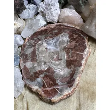 Drahý kámen Zkamenělé dřevo - destička