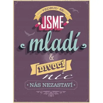 Obraz Cedule Jsme mladí divocí