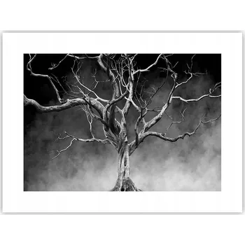 Obraz Obraz plakát do obýváku ložnice 40x30 strom foto na zeď bez rámu