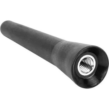 Autoanténa Autoanténa AMIO ANTM14