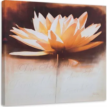 Obraz OBRAZ DO OBÝVÁKU LILIE VODNÍ KVĚTINY 50x50