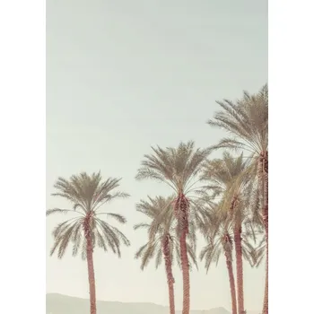 Obraz Plakát Palmové stromy bez rámu 64 x 90 cm