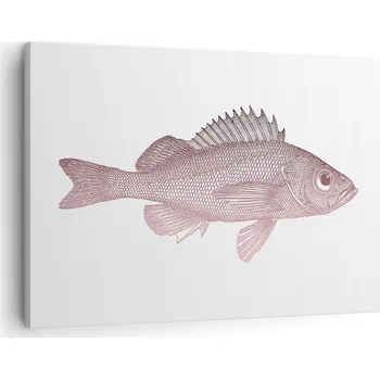 Obraz Obraz na plátně do obývacího pokoje ložnice 70x50 ryba foto obrazy na zeď canvas
