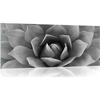 Obraz Skleněný obraz na skle KVĚT černobílý 125x50