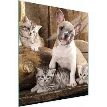 Kuchyňské prkénko Krájecí deska TMK ArtDeko sklo 1 ks