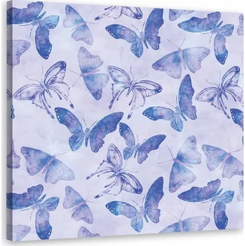 Obraz Obraz Modří motýli - Andrea Haase 30x30