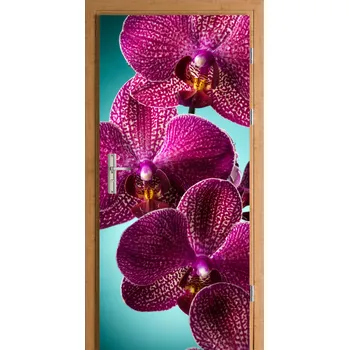 Fototapeta Samolepicí nálepka na dveře, růžová orchidej