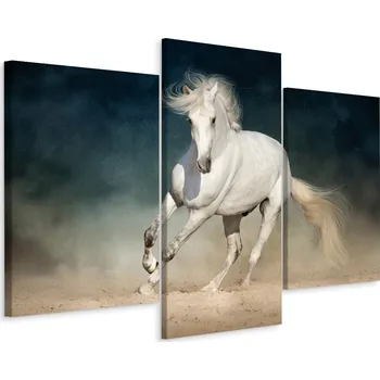 Obraz Obraz Tryptych Bílý KŮŇ v Cvalu Dekor 3D 90x60