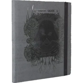 Archivační box Teczka z gumką A4 przestrzenna kartonowa wzór 2 Disney 100 BC CoolPack, Patio