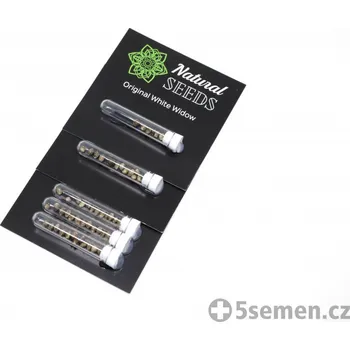 Semeno Original White Widow fem. (balení 6)