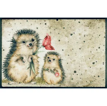 Rohožka Interiérová rohožka Spike Rozmer: 40x60 cm