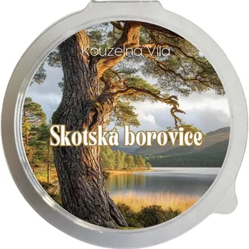 Svíčka Skotská borovice