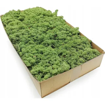 Obraz 500g MECH CHROBOTEK sobí, zelený, NORSKÝ