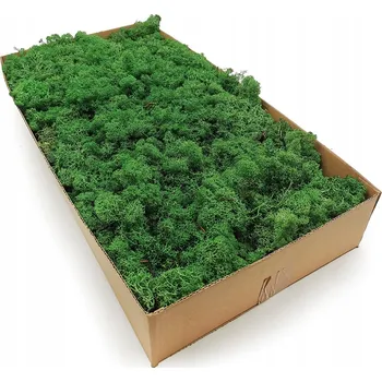 Obraz 500g MECH CHROBOTEK sobí, zelený, NORSKÝ