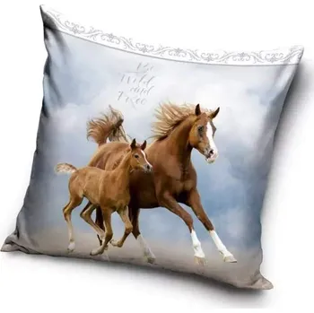 Povlak na dekorativní polštářek Povlak na polštář koně