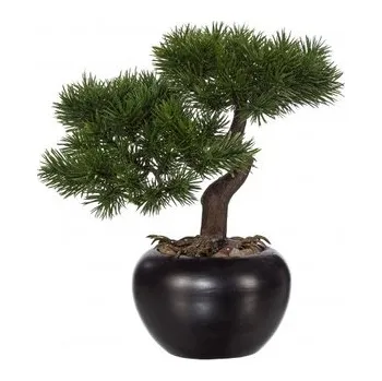 Květináč Bonsai borovice 25 cm 175103-50