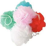 Calypso Passion květina mix barev