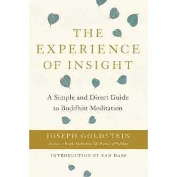 Osobní rozvoj The Experience Of Insight - Goldstein Joseph