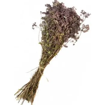 EVEI Větvička do sauny Oregano