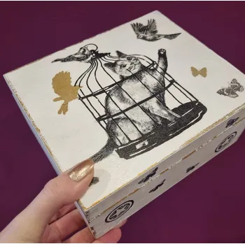 Dárková krabička Veronika Netolická Krabička 4P - kočičí klec