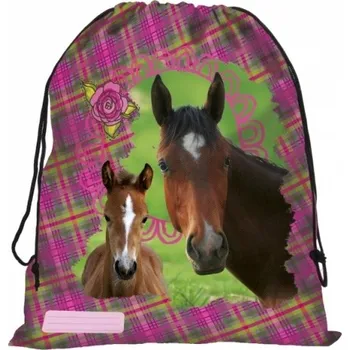 Školní sáček SÁČEK NA PŘEZŮVKY, TĚLOCVIK KONĚ HORSE