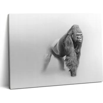 Obraz Obraz Na Plátně Ekologický Obraz do Ložnice – Kolekce Umění Divokých Zvířat