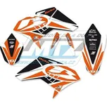 Polepy na motocykl (sada polepů Dream) Beta RR 4T / 10-12 - typ polepů Dream4 BB2B01N