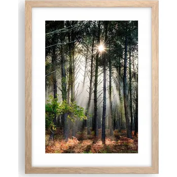 Obraz Obraz plakát v rámu světlý dub do obýváku 30x40 les foto plakáty na zeď