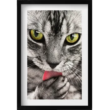 Obraz Dekorace obraz v rámu na zeď do obýváku Šedé kotě kočičí oči 40x60 cm