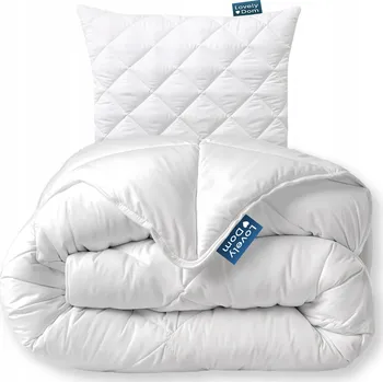 přikrývka PŘIKRÝVKA POLŠTÁŘ SADA 140x200 70x80 CELOROČNÍ ANTI-ALERGICKÁ SOUPRAVA