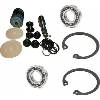 Čerpadlo Opravná sada pro čerpadlo postřikovače P-120 Biardzki + sada těsnění