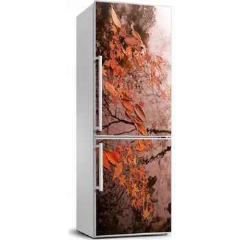 Fototapeta Samolepicí samolepící s dýhou Podzimní listy