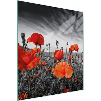 Kuchyňské prkénko Krájecí deska TMK ArtDeko sklo 1 ks