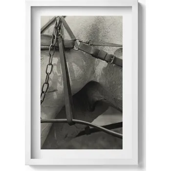 Obraz Elegantní obraz do obýváku v bílém rámu Detail koňské uzdečky 40x60 cm