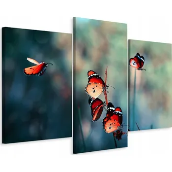 Obraz Obraz TRYPTYK Motýli Příroda v Makro Měřítku 90x60