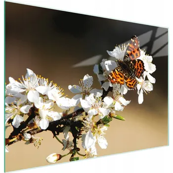 Kuchyňské prkénko Krájecí deska TMK ArtDeko sklo 1 ks