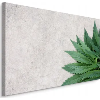 Obraz Nástěnný obraz Listy ZELEŇ Beton Dekor 3D 30x20