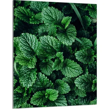 Obraz Krájecí deska TMK ArtDeko sklo 1 ks