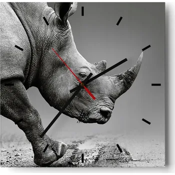 Hodiny Velké nástěnné hodiny 40x40 Nosorožec Skleněné tiché hodiny