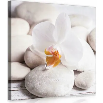 Obraz OBRAZ NA PLÁTNĚ PLÁTNĚ ORCHIDEJ
