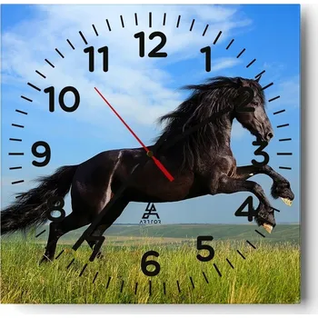 Hodiny Nástěnné hodiny do obýváku 40x40 Zvířata Bezhluczne Skleněné hodiny Tiché