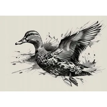 Plakát Plakát Letící kachna Gracja - bez rámu 29,7 x 21 cm