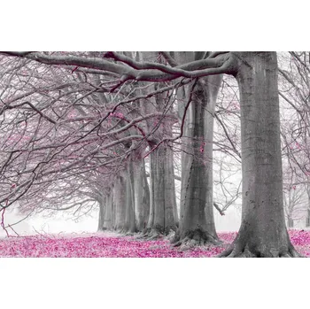 Obraz Plakát Stromy v řadě - růžové listí bez rámu 30 x 20 cm