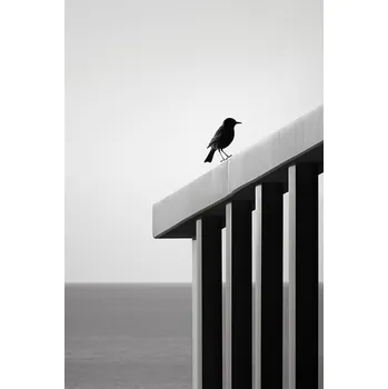 Plakát Plakát Samotná Propast bez rámu 61 x 91,5 cm