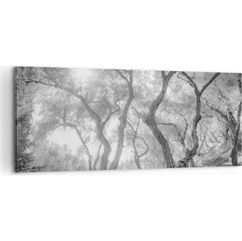 Obraz Foto obraz na plátně canvas 100x40 les obývák ložnice na zeď velký