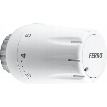 IP kamera Hlava Ferro GT11