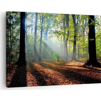Obraz Obraz na plátně do obýváku ložnice 70x50 les foto obrazy na zeď canvas
