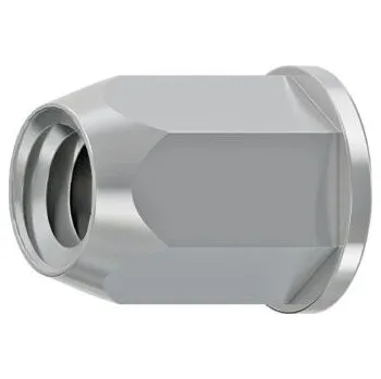 Nýt nýt maticový plochá hlava, šestihranný, M6 (0,5-3,0) Zn