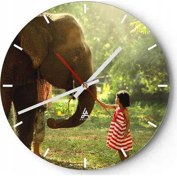 Hodiny Velké nástěnné hodiny 40x40 cm Zvířata Skleněné hodiny Kulatý Tiché