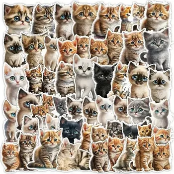 samolepka Samolepky kočka